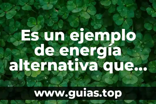 Qué es energía interna en bioenergética 4 Es un ejemplo de energía alternativa que es muy contaminante