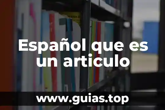 Que es tipos huelga que articulo 6 Español que es un articulo