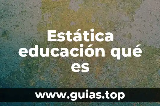 Educación sentimental que es 5 Estática educación qué es
