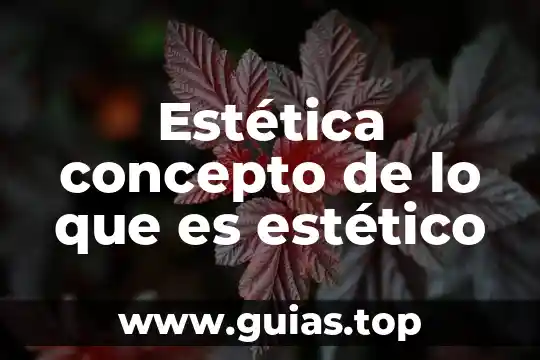 Que es un epp concepto 5 Estética concepto de lo que es estético
