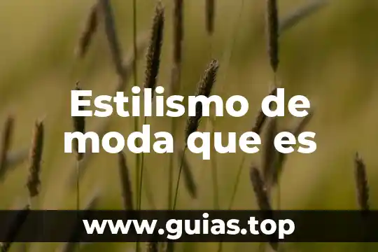Planta cep que es 3 Estilismo de moda que es