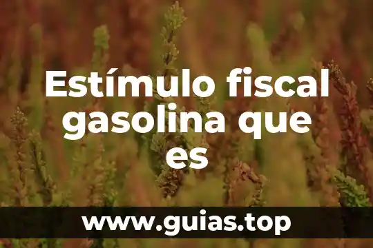 Que es mas liviano el agua o la gasolina 5 Estímulo fiscal gasolina que es