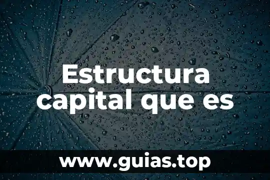 Qué es mejor estudiar sociología o psicología 3 Estructura capital que es