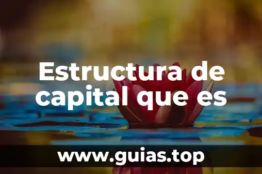 Que es un texto y su estructura 5 Estructura de capital que es