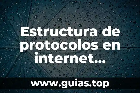 Qué es un texto oculto en informática 5 Estructura de protocolos en internet informática