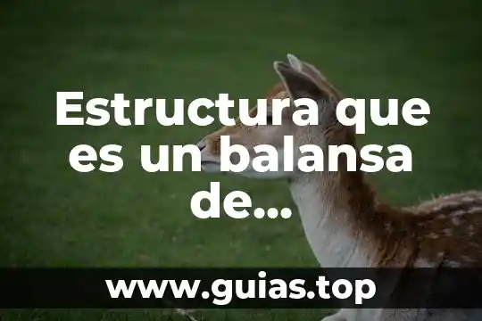 Que es estructura funcional en enfermeria 3 Estructura que es un balansa de comprovacion en contabilidad