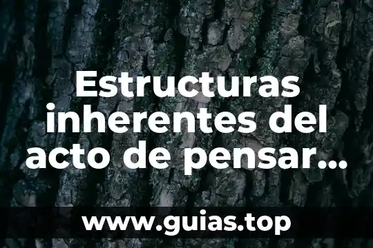 Que es ductilidad en estructuras 4 Estructuras inherentes del acto de pensar que es