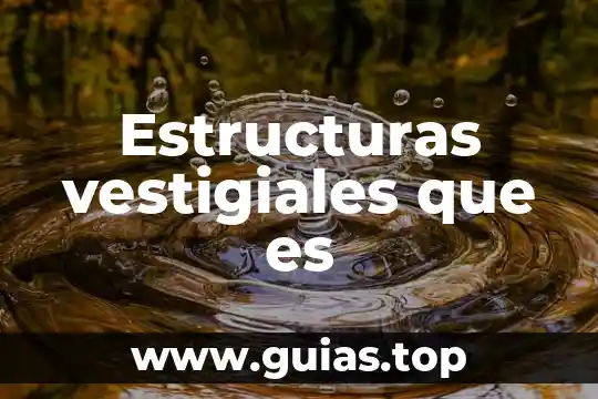 Que es ductilidad en estructuras 6 Estructuras vestigiales que es