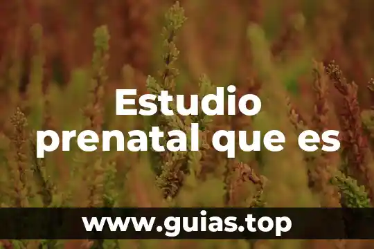 Que es fuente de agua dulce 6 Estudio prenatal que es