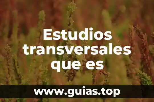 Que es un temario de estudios 7 Estudios transversales que es