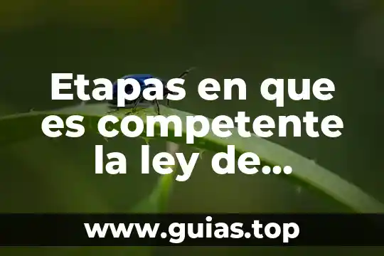 Que es el manejo de maquinas industrial over y rectas 6 Etapas en que es competente la ley de propiedad industrial