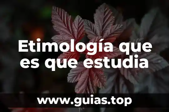 Que es la mecatronica automotriz y que estudia 5 Etimología que es que estudia