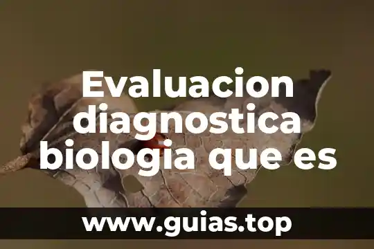 Que es el filtro de agua de biologia 6 Evaluacion diagnostica biologia que es