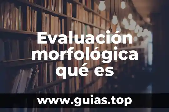 Que es evaluacion y los tipos 3 Evaluación morfológica qué es