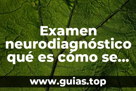 Que es una forma uniforme 8 Examen neurodiagnóstico qué es cómo se forma