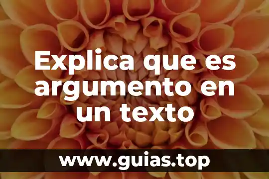 Que es un problema o pregunta en un argumento 6 Explica que es argumento en un texto