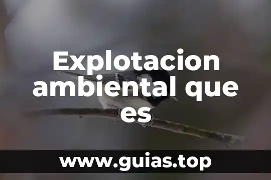 Que es la lejislacion ambiental 4 Explotacion ambiental que es