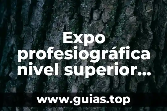 Que es ser superior a alguien 3 Expo profesiográfica nivel superior que es