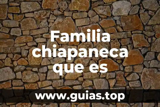 Qué es la familia lógica TTL 5 Familia chiapaneca que es
