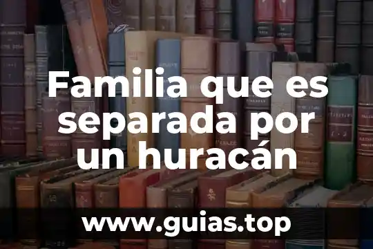 Qué es la familia lógica TTL 8 Familia que es separada por un huracán