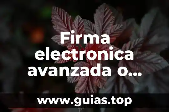 Que es una red de firma 8 Firma electronica avanzada o fiable que es