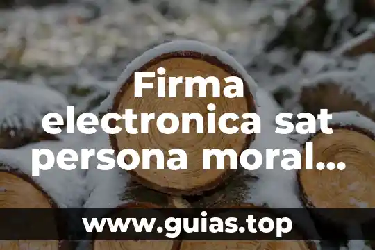 Que es una persona fisica y un moral 3 Firma electronica sat persona moral que es