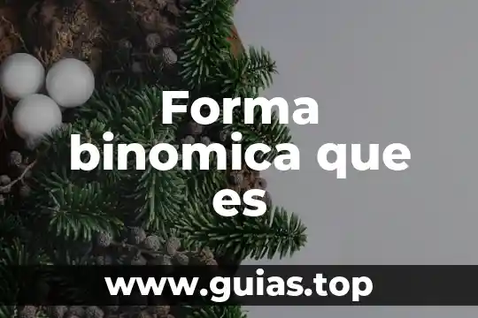 Que es el verbo to be en forma interrogativa 3 Forma binomica que es