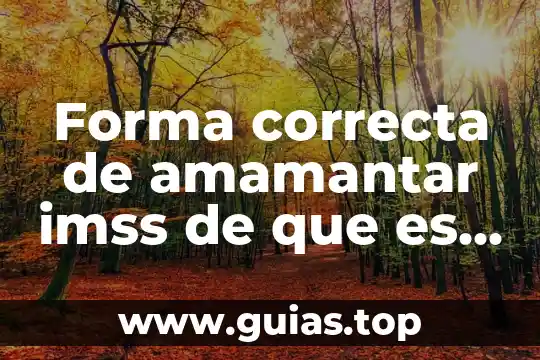 Que es una accion correcta 3 Forma correcta de amamantar imss de que es lactancia imss