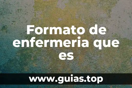 Qué es el bazo en el ser humano 3 Formato de enfermeria que es