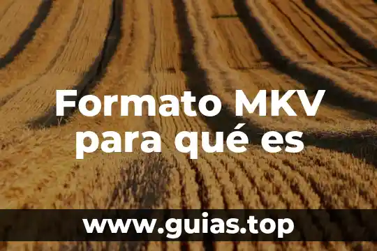 Que es un formato pcm 3 Formato MKV para qué es