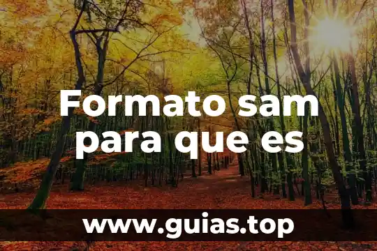 Formato MKV para qué es 6 Formato sam para que es