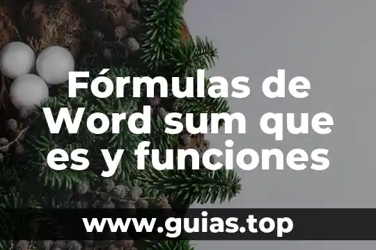 Que es una figura nigromante 6 Fórmulas de Word sum que es y funciones