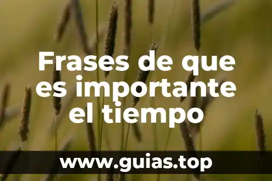Por que es importante atender la depresion post esquizofrenica 6 Frases de que es importante el tiempo