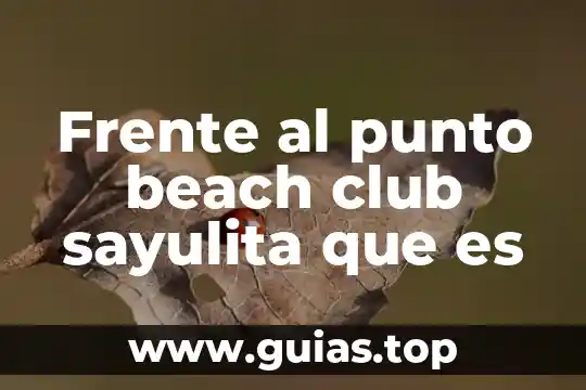 Que es hacer frente a una situacion 7 Frente al punto beach club sayulita que es