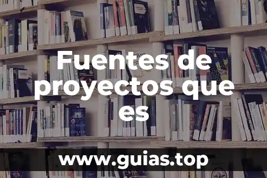 Que es un cordinador de proyectos 3 Fuentes de proyectos que es