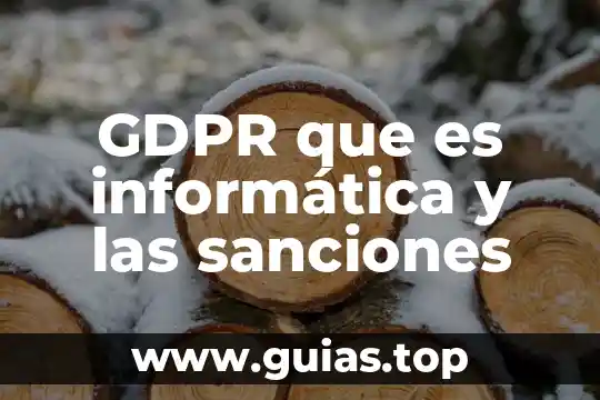 Que es sploits en informatica 6 GDPR que es informática y las sanciones