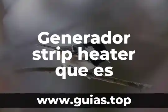 Posgrado en estudios latinoamericanos que es 3 Generador strip heater que es