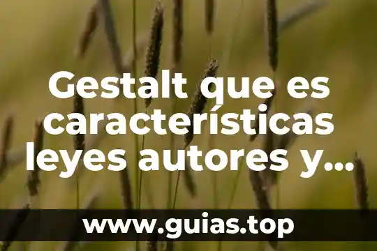 Gestalt que es características leyes autores y principales