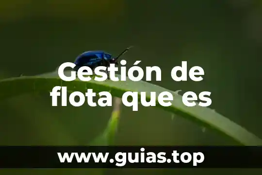 Que es principio de gestion de calidad 8 Gestión de flota que es
