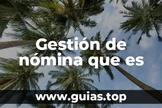 Que es gestion convencional 3 Gestión de nómina que es