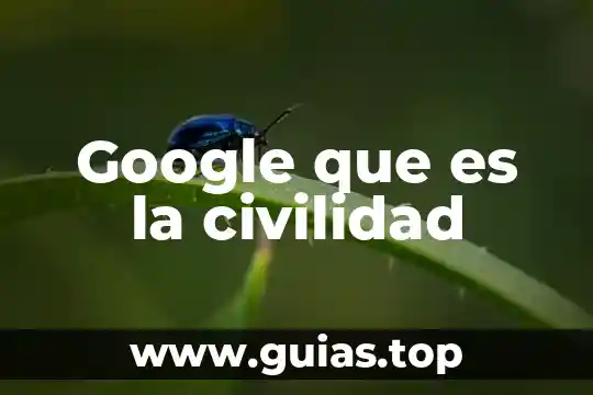 Que es la depresion y tipos 7 Google que es la civilidad