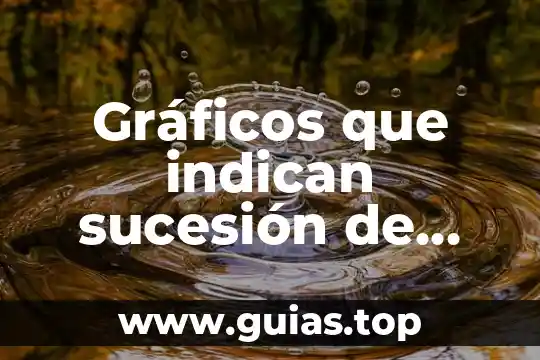 Definición que es una sucesión matemática ejemplos 4 Gráficos que indican sucesión de hechos que es
