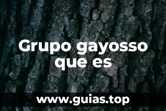 Que es grupo etario 3 Grupo gayosso que es