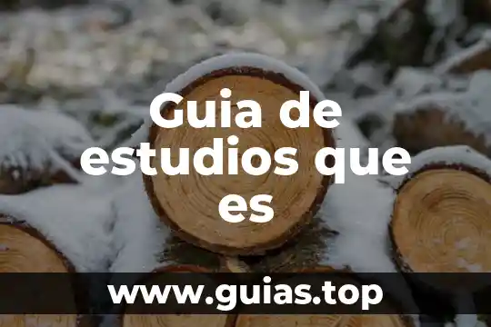 Que es un temario de estudios 8 Guia de estudios que es