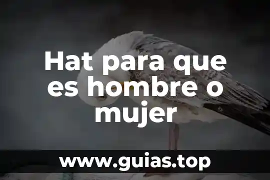 Que es ser mujer sin adicciones 8 Hat para que es hombre o mujer