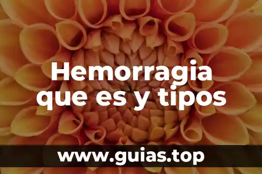 Que es ser anexado 8 Hemorragia que es y tipos