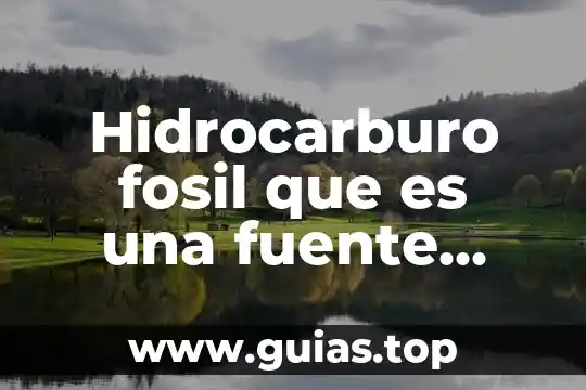 Que es el dinero para niños de primaria primero 8 Hidrocarburo fosil que es una fuente primaria de energia ch2