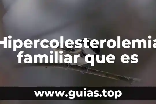 Que es protocolo familiar 6 Hipercolesterolemia familiar que es