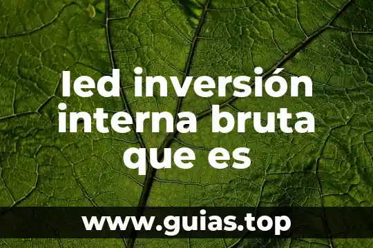 Qué es la idea de un proyecto de inversión 7 Ied inversión interna bruta que es