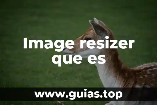 Que es el mac os x install image 4 Image resizer que es